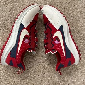 Nike Pegasus x gyakusou